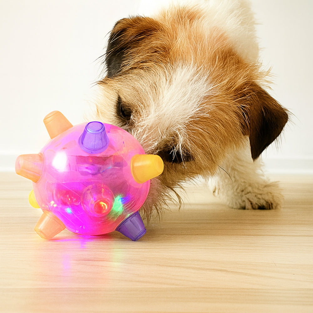 Juguete interactivo para perros con pelota de goma que rebota y emite luces intermitentes