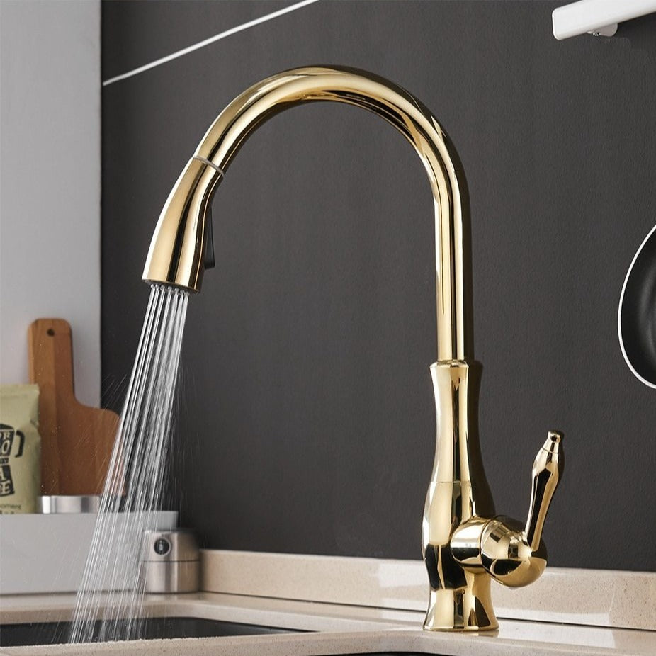 Grifo de cocina elegante de acero inoxidable con rociador retráctil extraíble