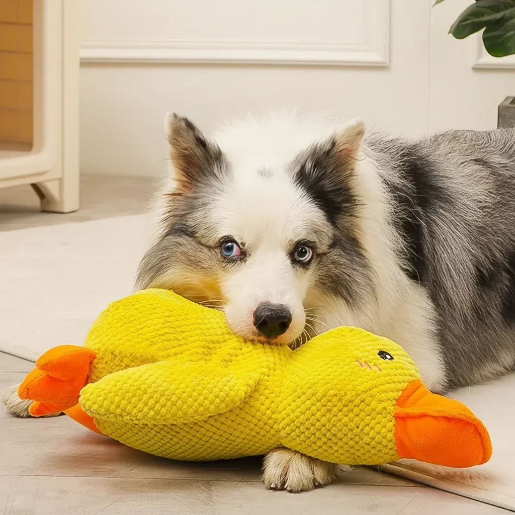 Juguete masticable duradero con sonido de pato para perros, para aliviar la ansiedad