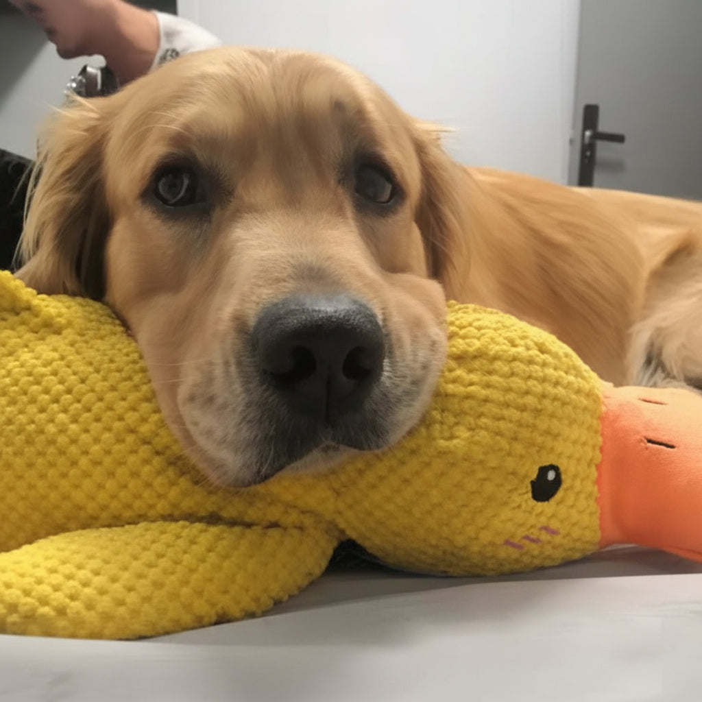 Juguete masticable duradero con sonido de pato para perros, para aliviar la ansiedad