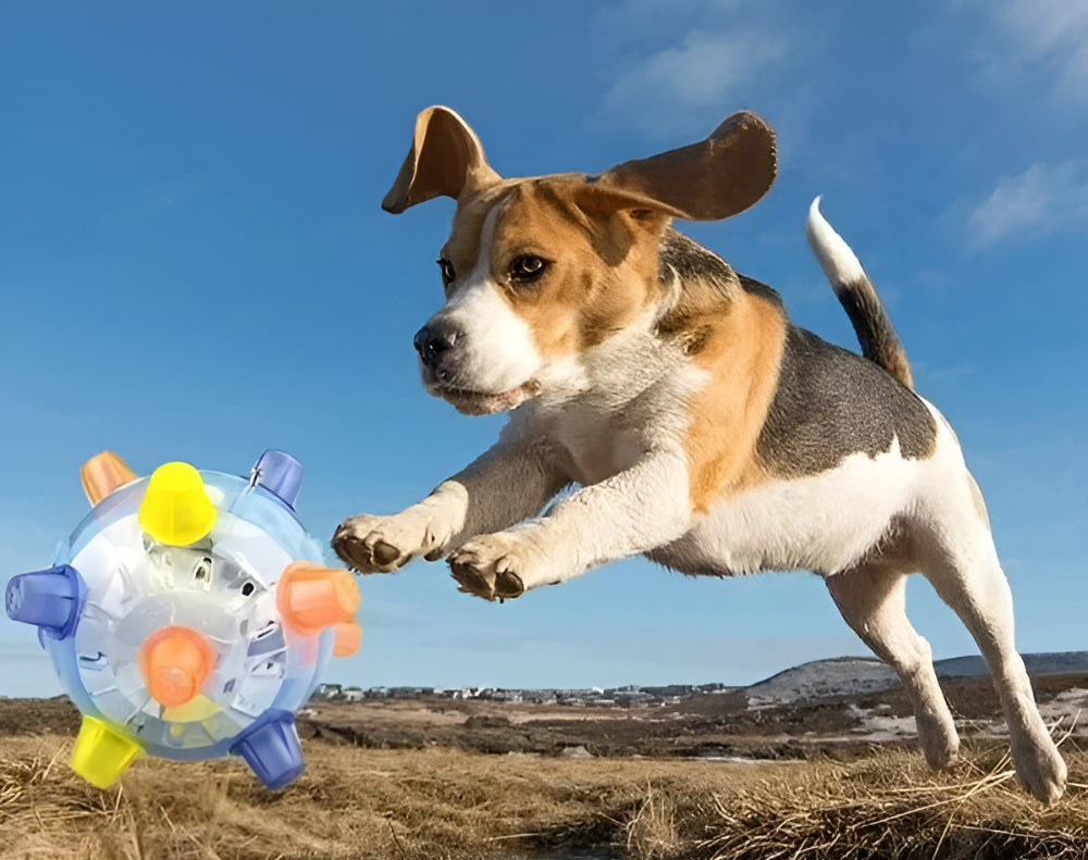 Juguete interactivo para perros con pelota de goma que rebota y emite luces intermitentes