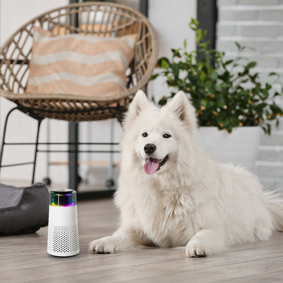 Purificador de aire y humidificador compacto que neutraliza los olores de mascotas