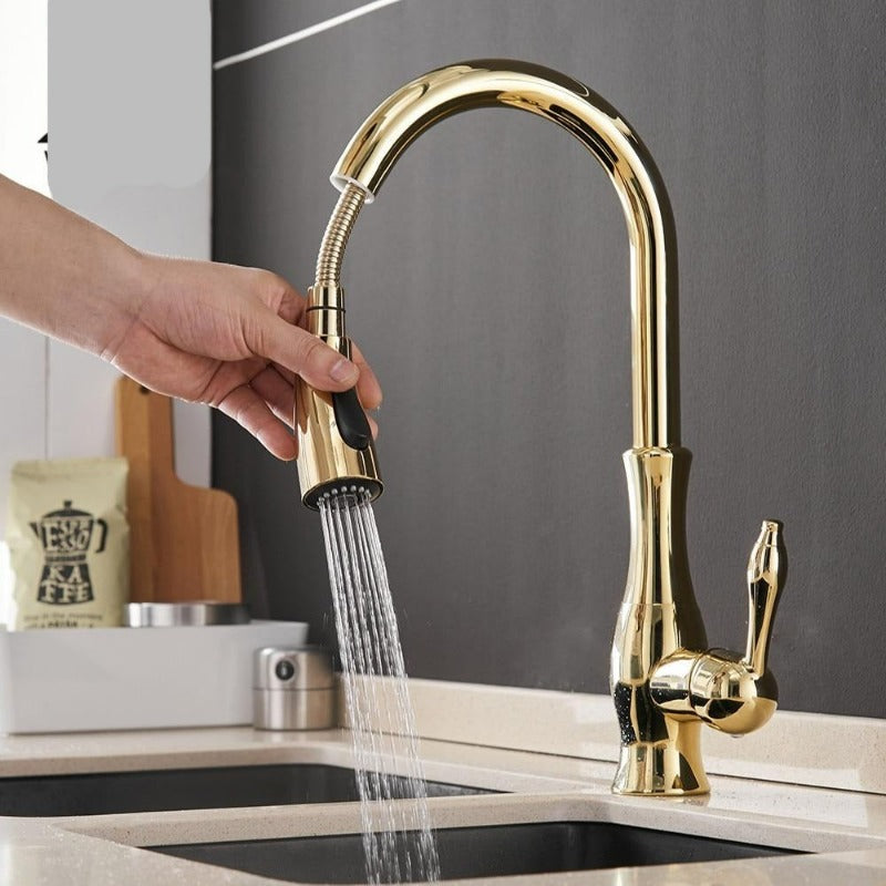Grifo de cocina elegante de acero inoxidable con rociador retráctil extraíble