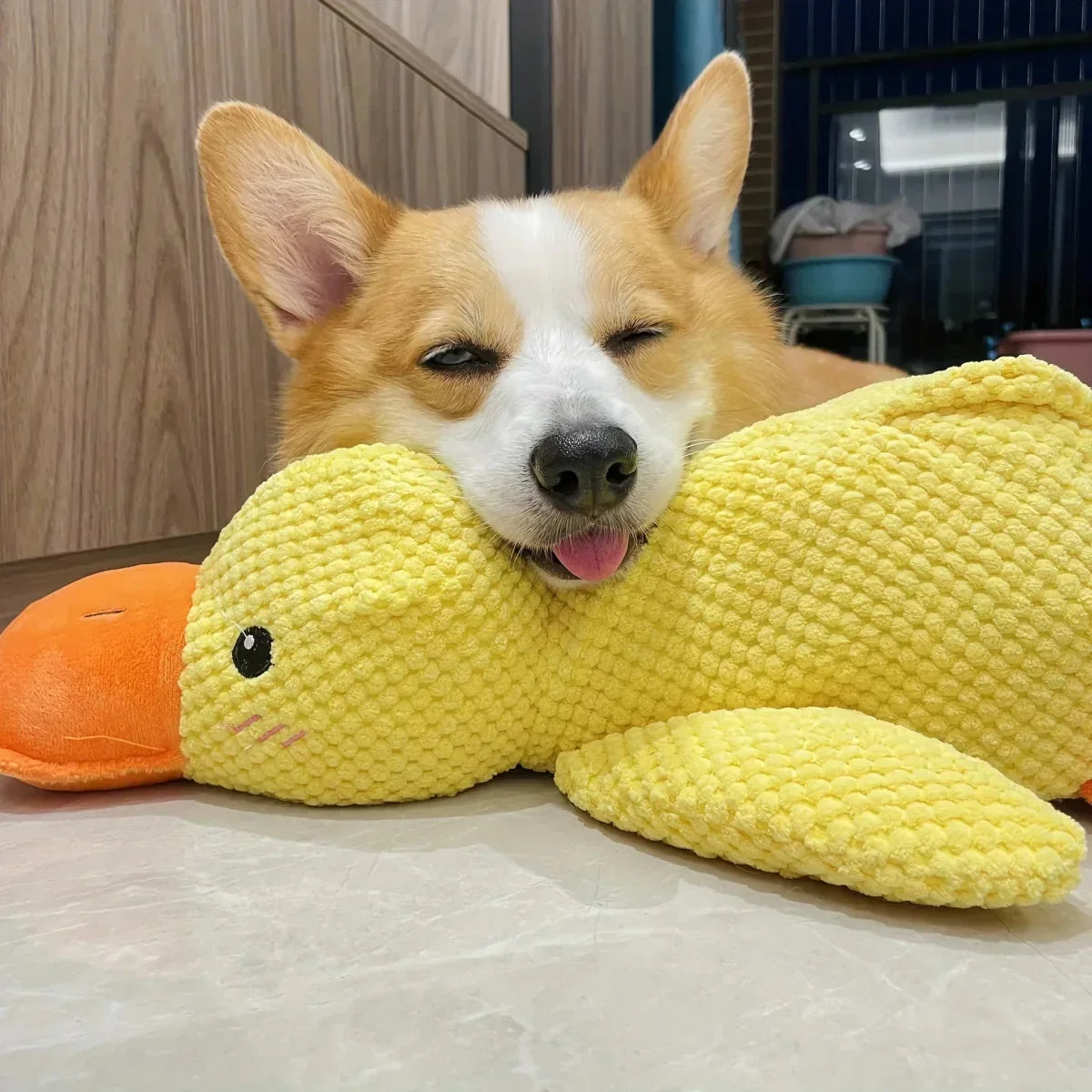 Juguete masticable duradero con sonido de pato para perros, para aliviar la ansiedad