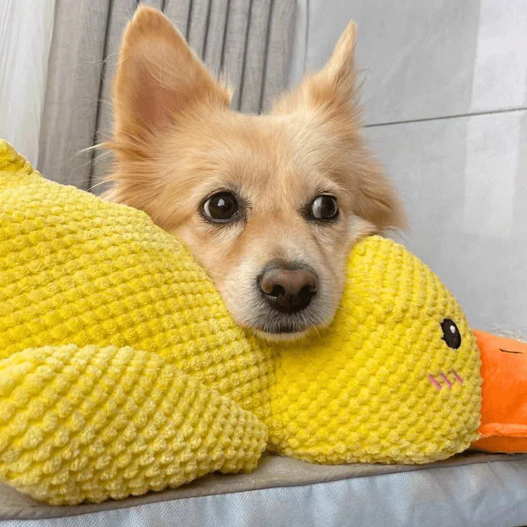 Juguete masticable duradero con sonido de pato para perros, para aliviar la ansiedad
