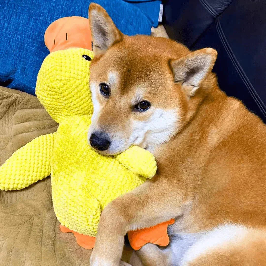 Juguete masticable duradero con sonido de pato para perros, para aliviar la ansiedad