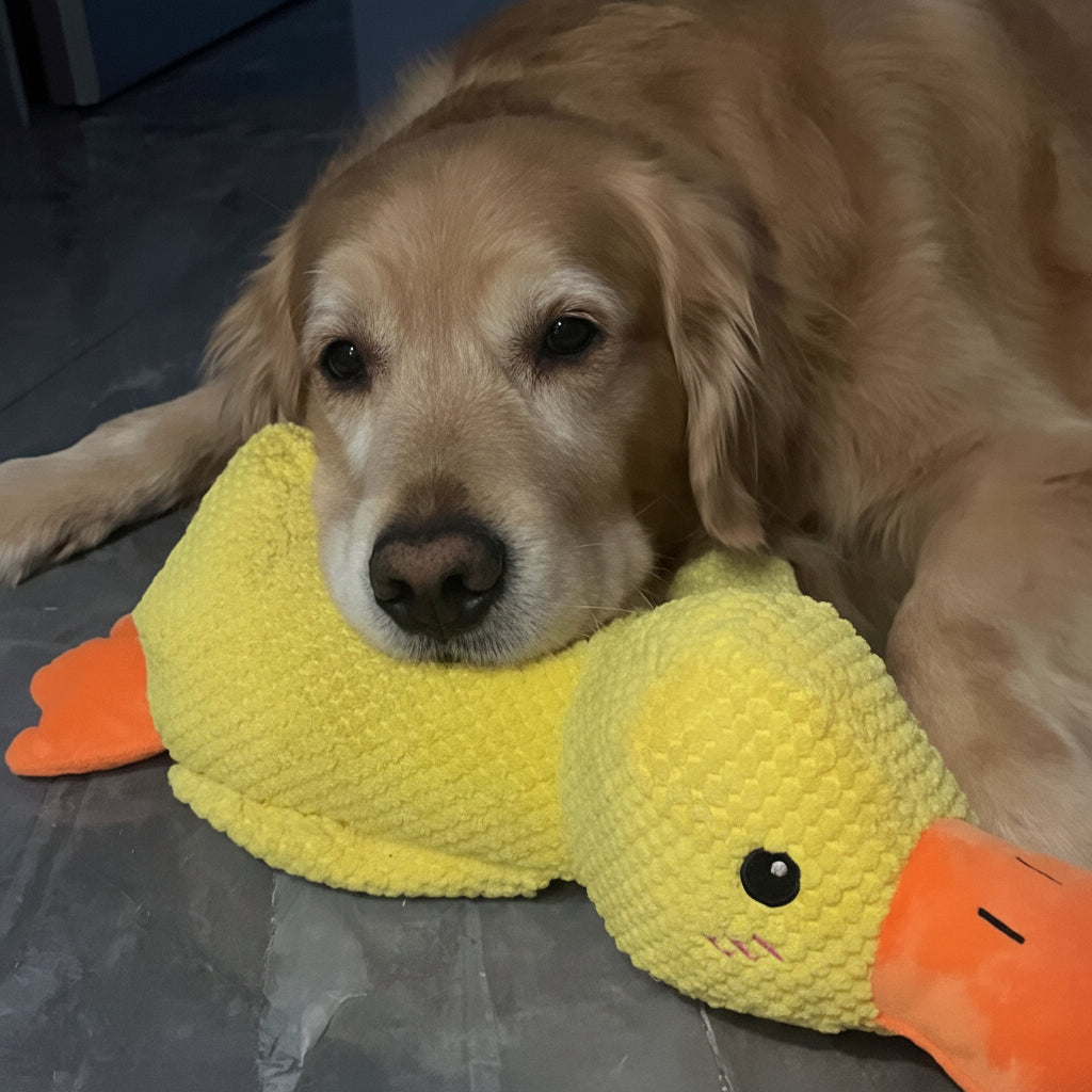 Juguete masticable duradero con sonido de pato para perros, para aliviar la ansiedad