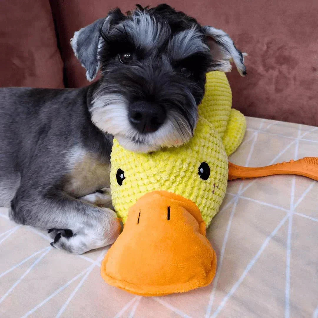 Juguete masticable duradero con sonido de pato para perros, para aliviar la ansiedad